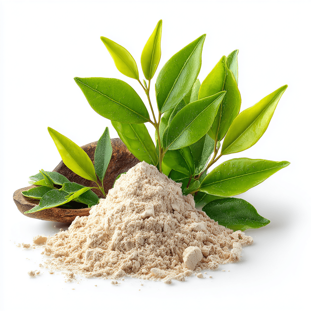 Biotiini